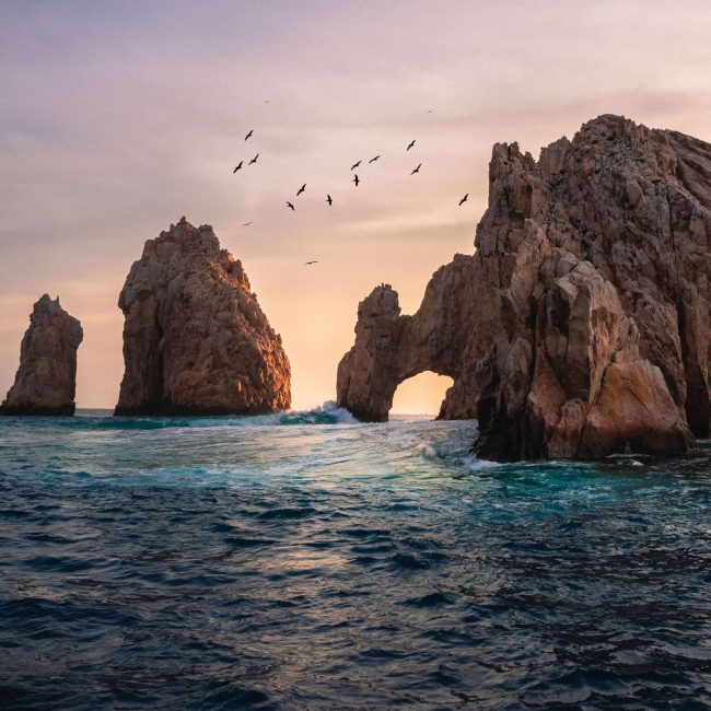 Los Cabos wedding destination