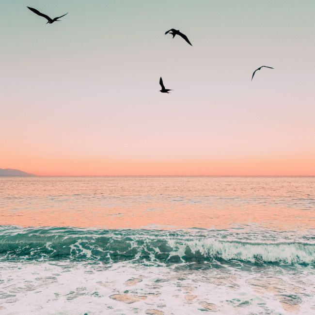Riviera Nayarit wedding destination